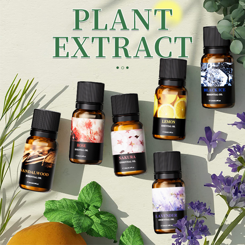 Ensemble de 6 flacons de 10 ml - Soap Making Kit For Beginners avis et prix